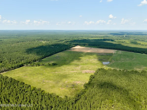 79 County Road 2349, Louin, MS 39338
