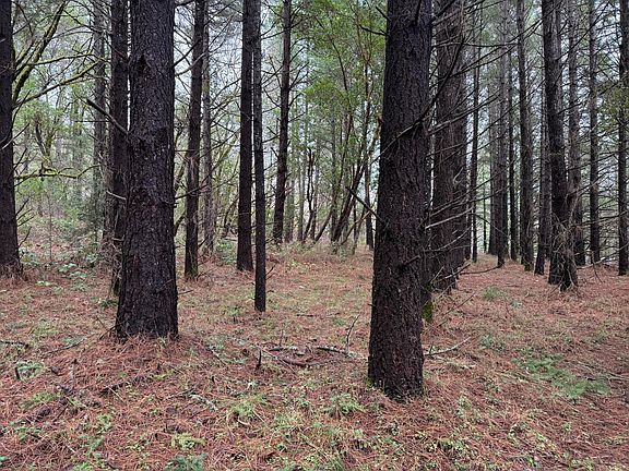 2nd image of 907 Riverbanks Rd #907