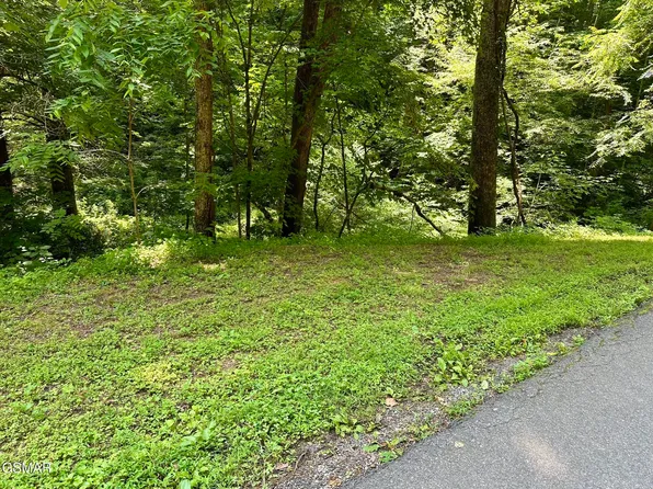 LOT-706A School House Gap Rd House Gap, Sevierville, TN 37876