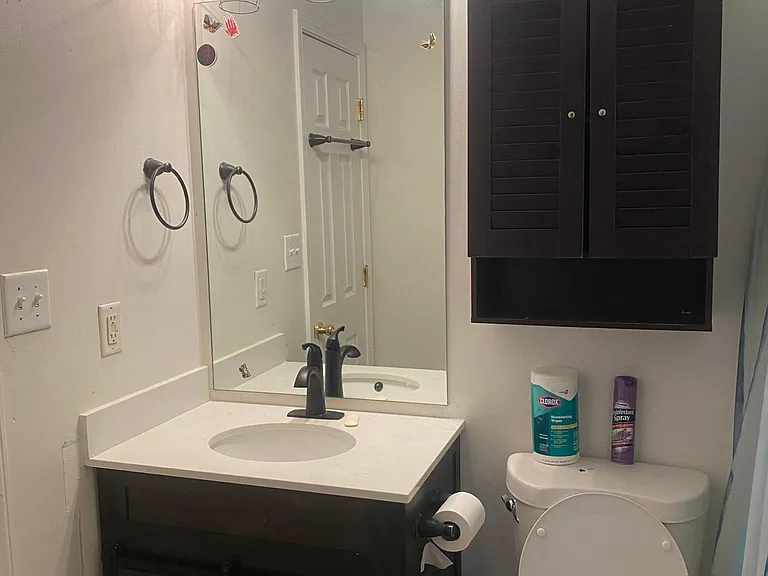 358 Elders Pond Cir — Photo 6