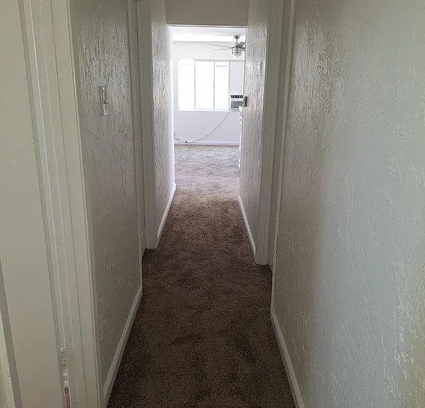 858 Ashfield Ave — Photo 7