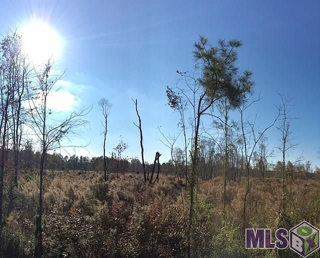 2nd image of T 5 Palmer Rd