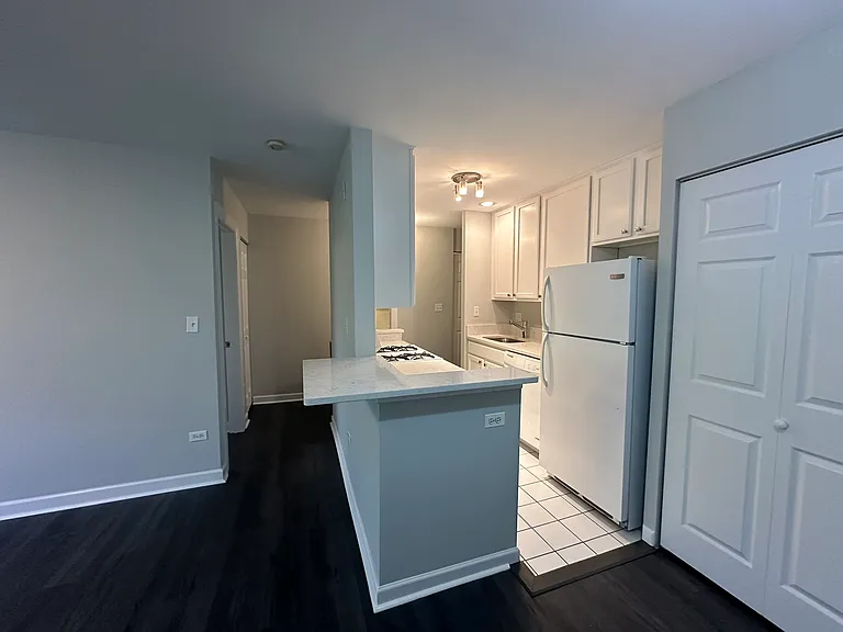 900 W Fullerton Ave #4H — Photo 7