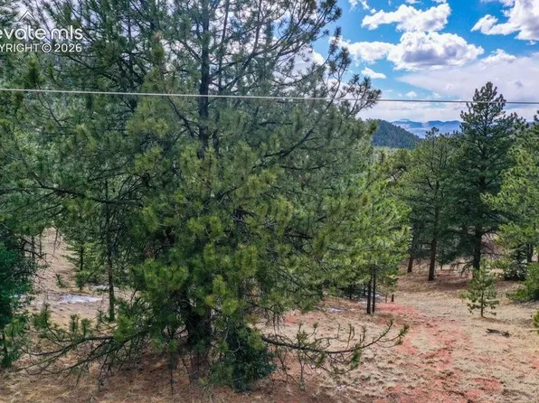 395 Wabash Ter, Cripple Creek, CO 80813