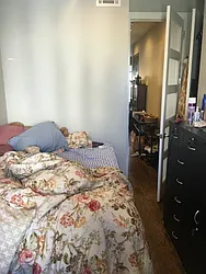 Rented by P Management