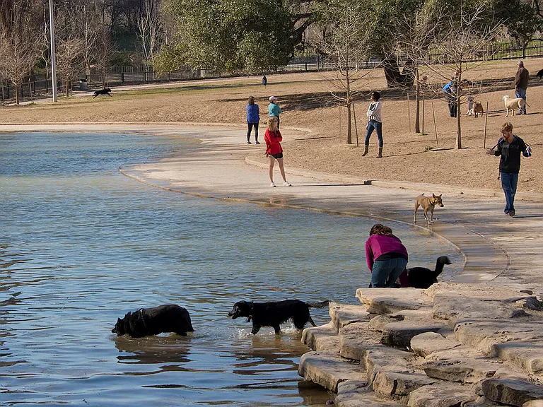 Johnny Steele Dog Park is just .06 mile away