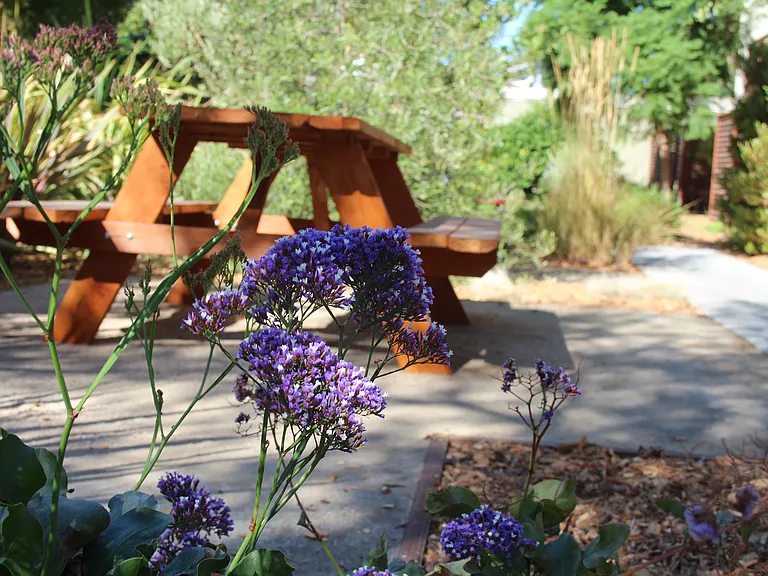 Manzanita Apartments — Photo 15