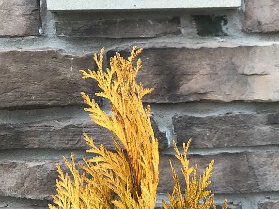 Stone house number