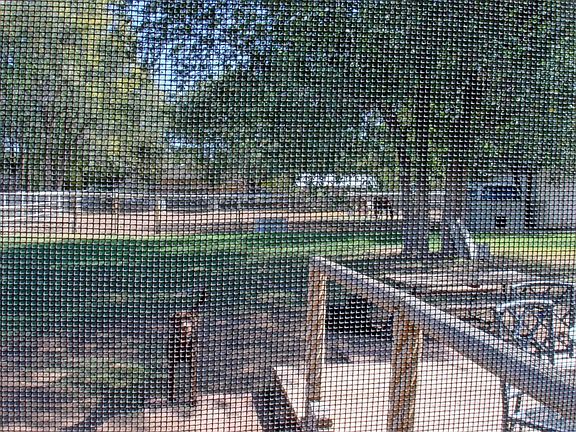 Backyard View