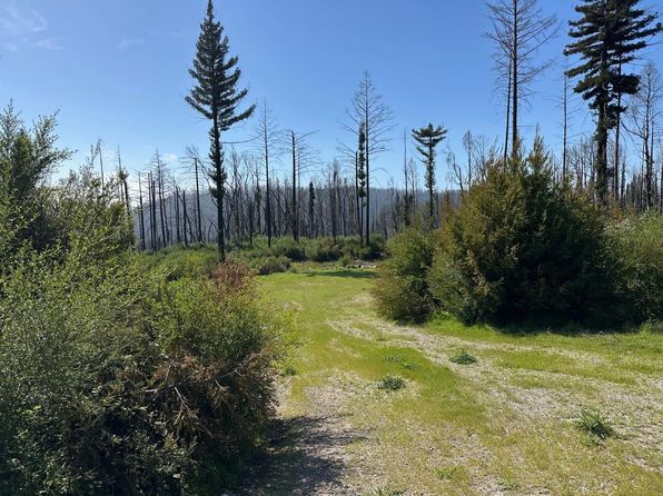 4605 Last Chance Rd, Davenport, CA 95017