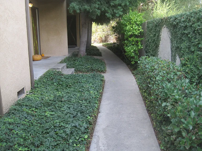673 Grand Ave — Photo 6