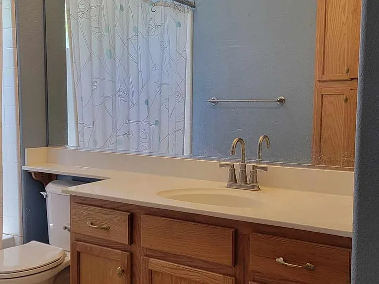 Downstairs bathroom has full tub, shower, toilet, sink, and plenty of counterspace
