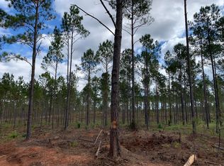 1380 Tabernacle Church Rd, Lincolnton, GA 30817