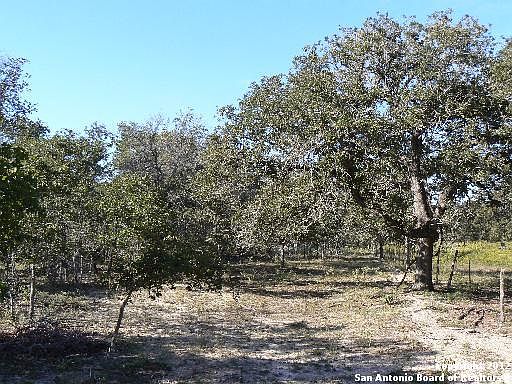 1st image of 111 ACRES Wishing Star Lane