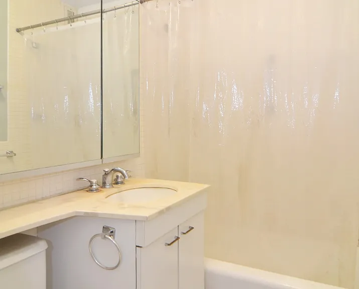 400 E Randolph St #2022 — Photo 7