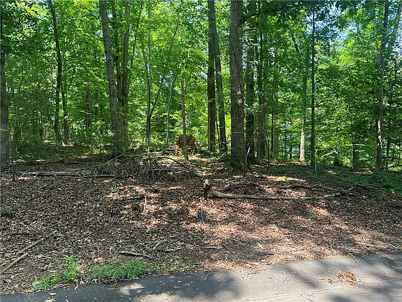 4th image of 0 Promontory Rdg Lot 45