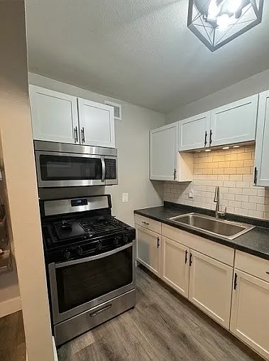 2 bed, 1100 sqft, $1,195 — Photo 4