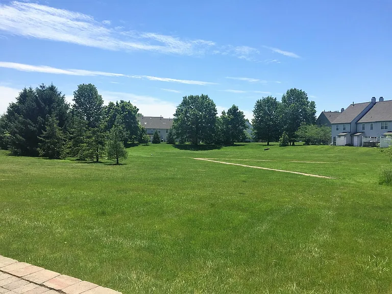 View from Patio