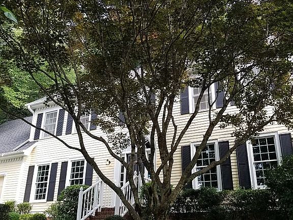 Front door with maple