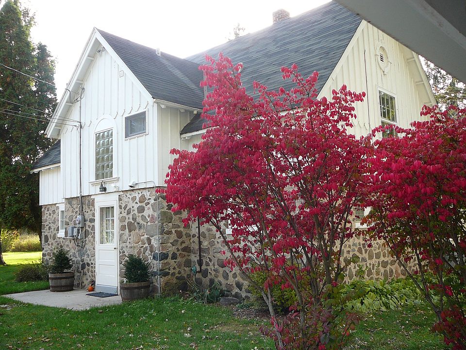 Burning bush in summer
