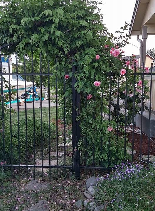 2nd image of 10691 Umtanum St SE