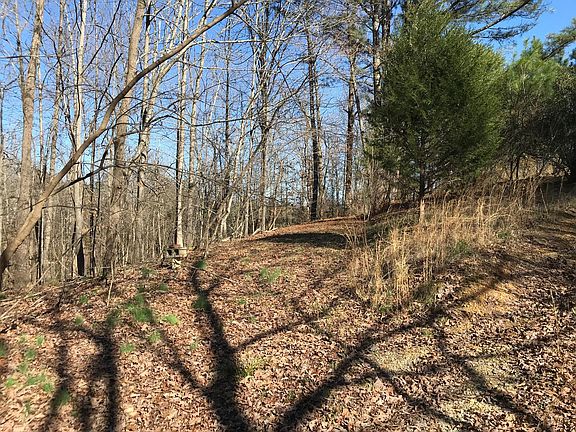 3rd image of 70 Tharp Dr