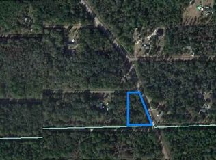 10735 Kirchherr Blvd, Hastings, FL 32145