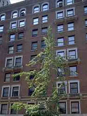 Sold by Corcoran | media 14