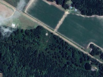 0 Mincey Rd, Brooklet, GA, 30415