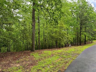 LOT 6 Brasstown Vw, Brasstown, NC, 28902