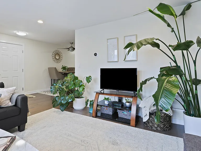 126 Tudor St #G — Photo 3