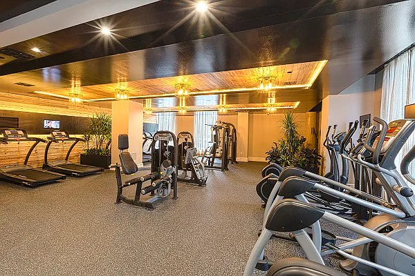 Rented by City View Living | media 82