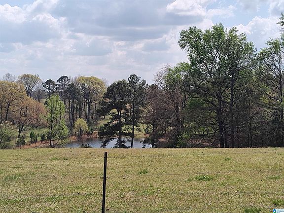 4th image of 75 Mary Lee Ln
