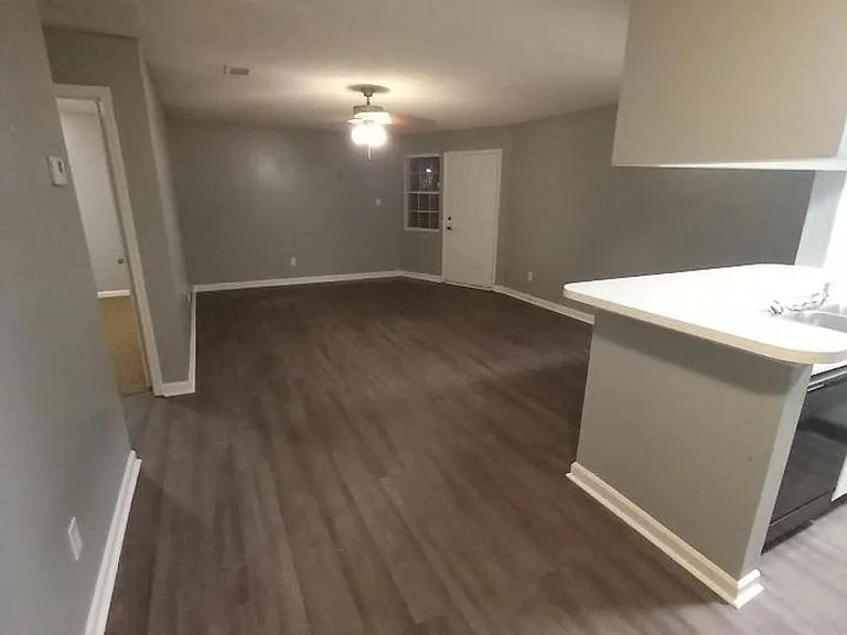 Springlake Apartments — Photo 52