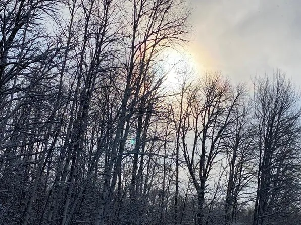 20772 Toad Mountain Rd, Osage, MN 56570