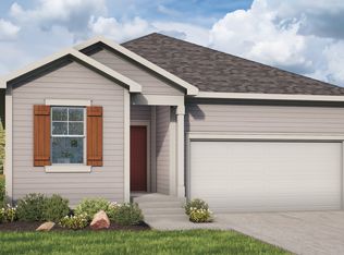 Iris Plan, Bloom, Fort Collins, CO 80524