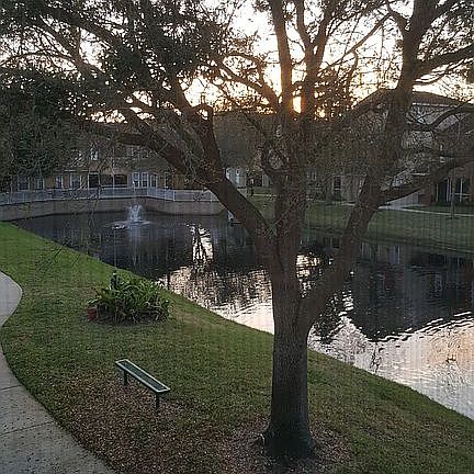Pond view from guest bedroom