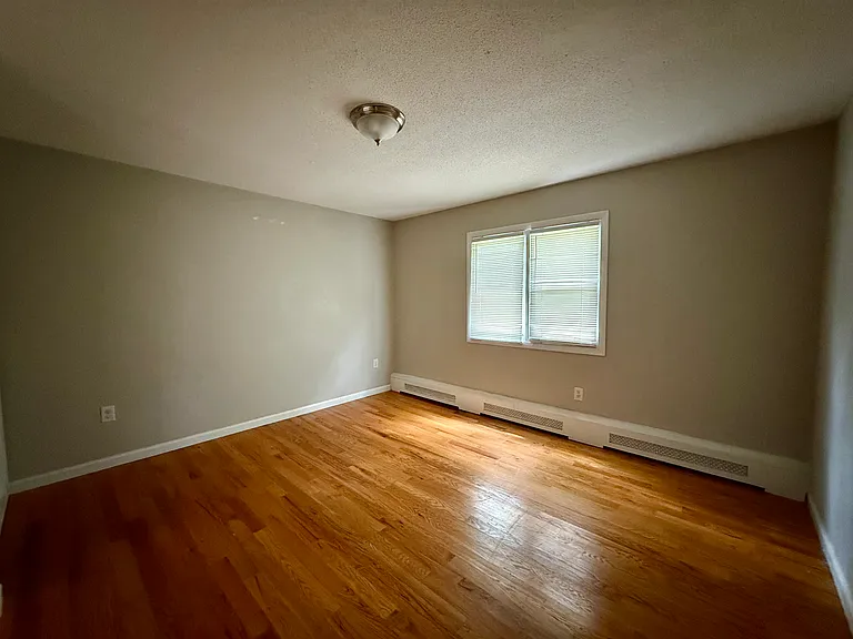 239 Fitch St #2C — Photo 13