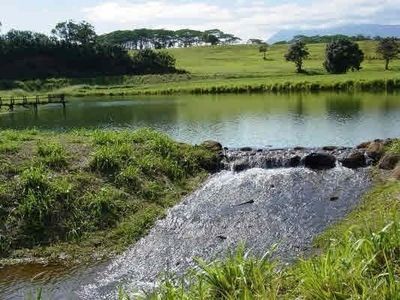 3D A Kulana Pl Lot 3D, Kapaa, HI, 96746
