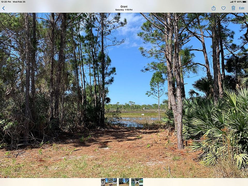 wetland nature view