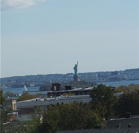 Statue of Liberty View