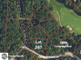 267 Congressional Dr, Bellaire, MI 49615