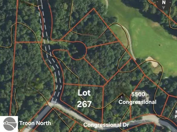 267 Congressional Dr, Bellaire, MI 49615