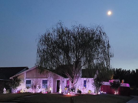 After Front Yard