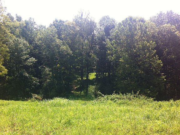 2nd image of 3234 Sugar Creek Pike Lot 4