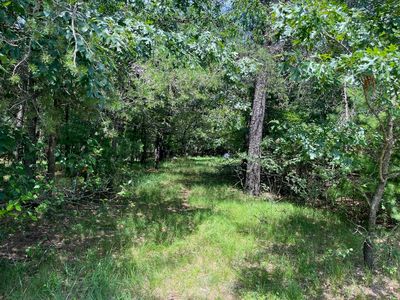 L64 S Cypress Ave, Arkdale, WI, 54613