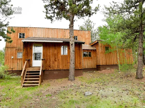 3800 Doe Valley Rd, Guffey, CO 80820