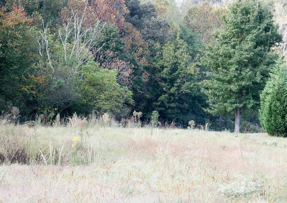 2nd image of 0 River Rd
