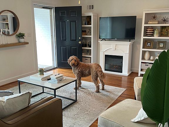 Living room. Electric fireplace is included.