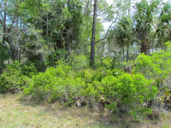 TBD SE US Hwy 19, Inglis, FL 34449